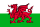 Welsh flag