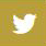 Twitter Icon